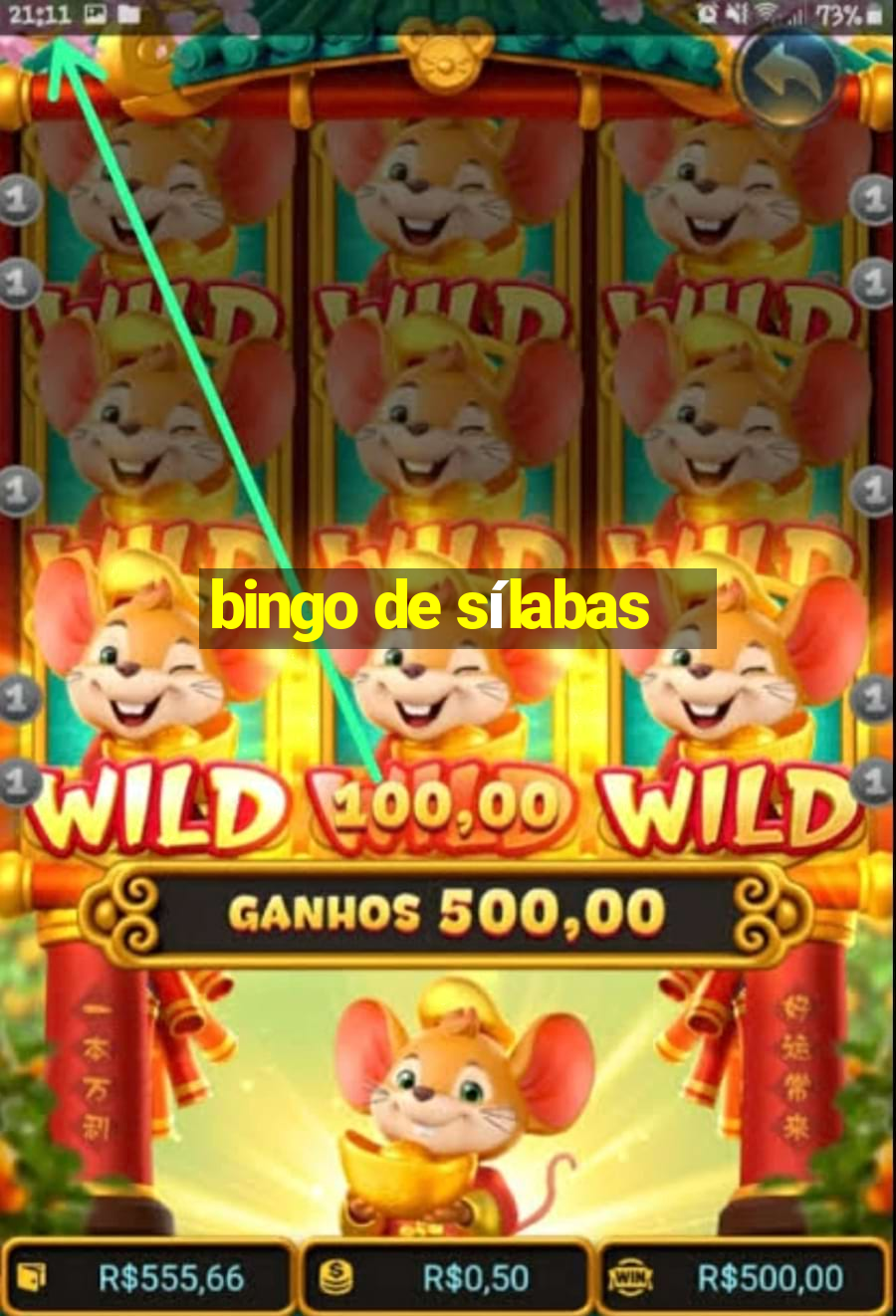 Bingo De S Labas